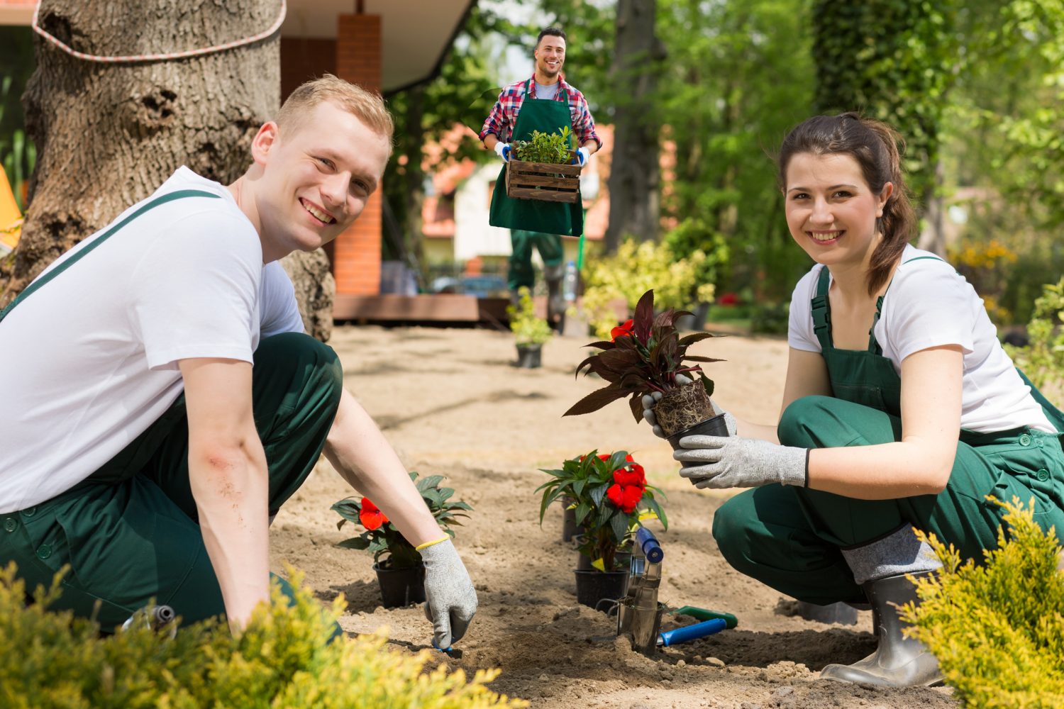 landscapers-full-time-squamish-personnel-solutions